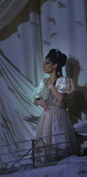 purple joanna projections